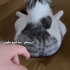 مود الان من :...