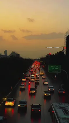 mojtaba_1995 76979416