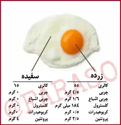 تفاوت ارزش غذایی سفیده و زرده تخم مرغ 🤔