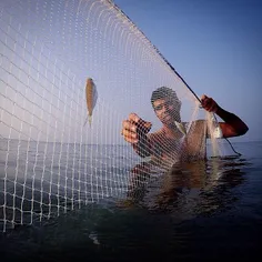 Fishing with net in #PersianGulf, #Dayyer, #Bushehr, #Ira