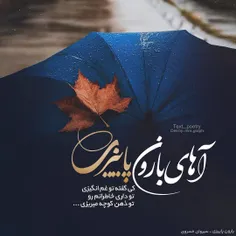 صبح در کوچه‌ی ما