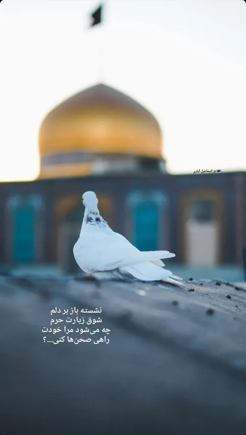 لبیک یا حسین؏🖤