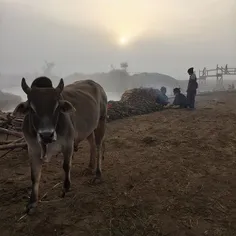 Thaung To market around 6 a.m at Inle Lake in Myanmar. Mi