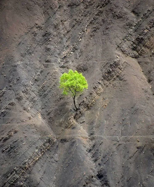 چه جسور می شوی وقتی مطمئنی کسی عاشقِ توست!