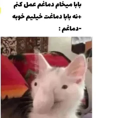 هیچ وقت قبول نمی‌کنن😂😂