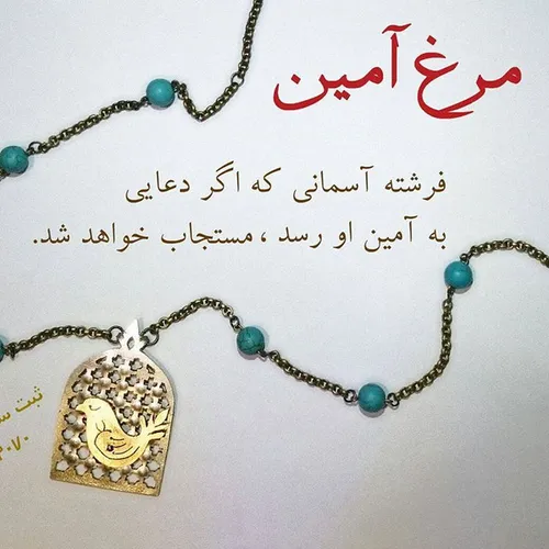 مرغ آمین