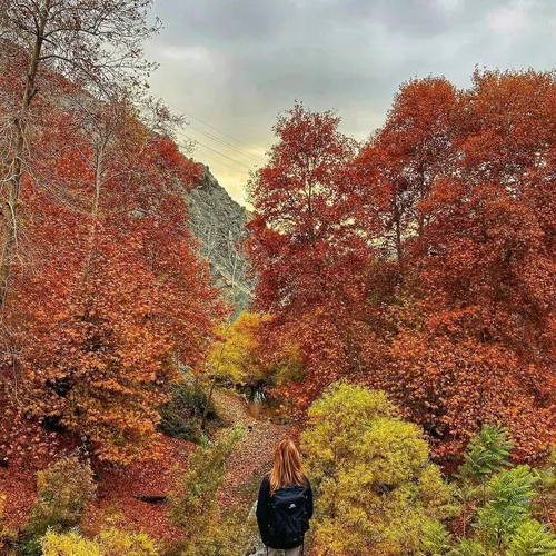 ‏خانواده ای که اجازه ی «ترسیدن» به فرزندش نمی دهد، اجازه 