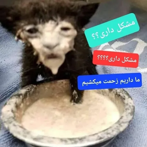 موشکل