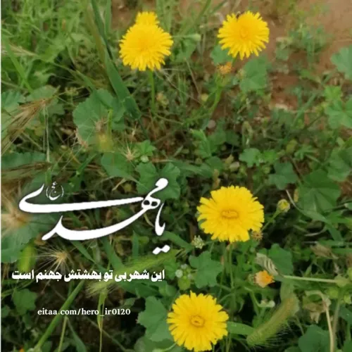 مذهبی عمومی