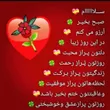 amir_157