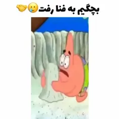 پشماتون بریزه