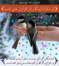 🍃 امام علی ع🍃 