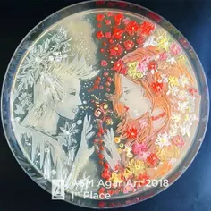 تصویر بالا توسط میکروب‌های مختلفی که در آزمایشگاه کشت شده