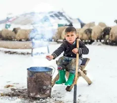 "سادگی" همیشه