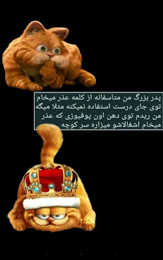 هههـِخخخ😸