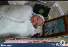 تولد فرزند مدافع حرم ، شهید مصطفی شیخ الاسلام ، بعد از شه
