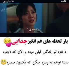 افسانه روباه نه دم