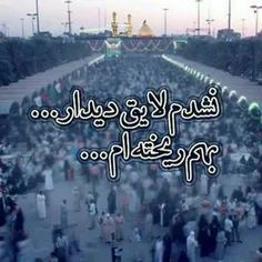 السلام علی الحسین وعلی علی بن الحسین وعلی اولاد الحسین وع