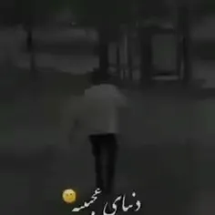 واقعا " چقدر دنیای عجیبیه 