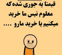 والله راست میگه😐😂