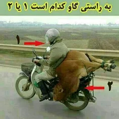 کدوم