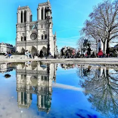 Notre dame