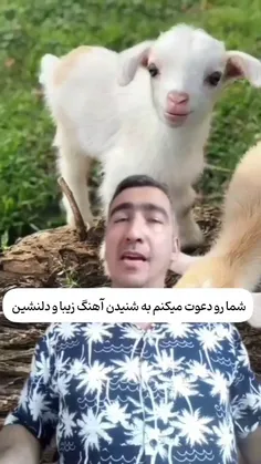 ملت رد دادن🤣🤣🤣🤣🤣😐😐😐