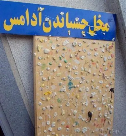؟؟