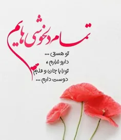 عکس نوشته aghaykhas72 28855714