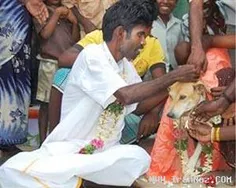 اینم ازدواج یه نفر تو هند با یه سگ