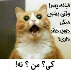 ههههه دقیقا