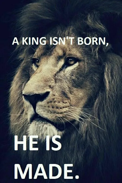 یک پادشاه، به دنیا نمیاد،