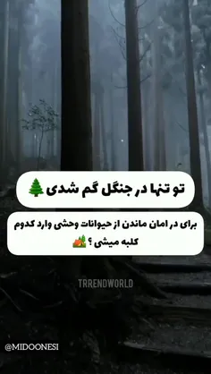 کدوم کلبه رو انتخاب میکنی؟👀