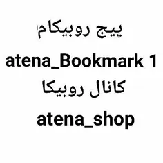 atena_haghdoost 62938197