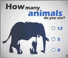 چند تا حیوون تو تصویر میبینی؟