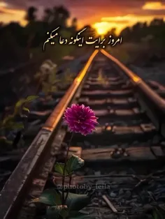 moijoon1361 77103327