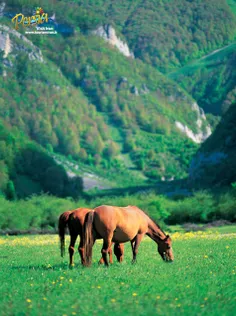 طبیعت ایران .