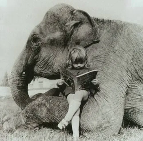 عکس قدیمی نوستالژیک فیل و بچه
