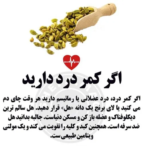 دانستنی