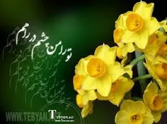 یا مهدی ادرکنی