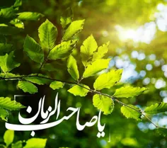 🎀 🍃  #زیــنـبـیــــون🍃 🎀 