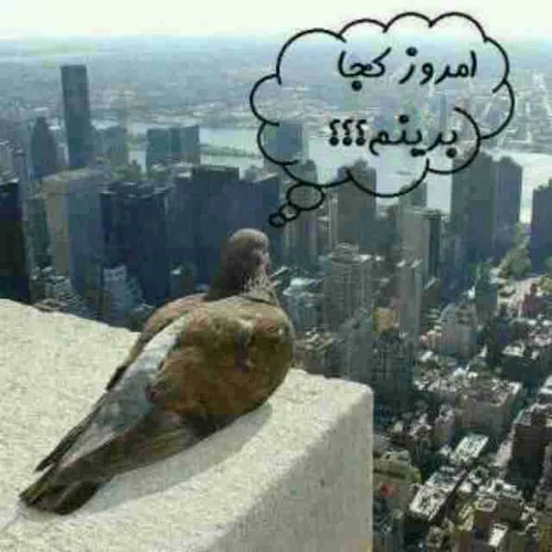 هههه