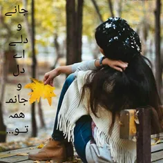 عاشقانه ها me-me 23881204