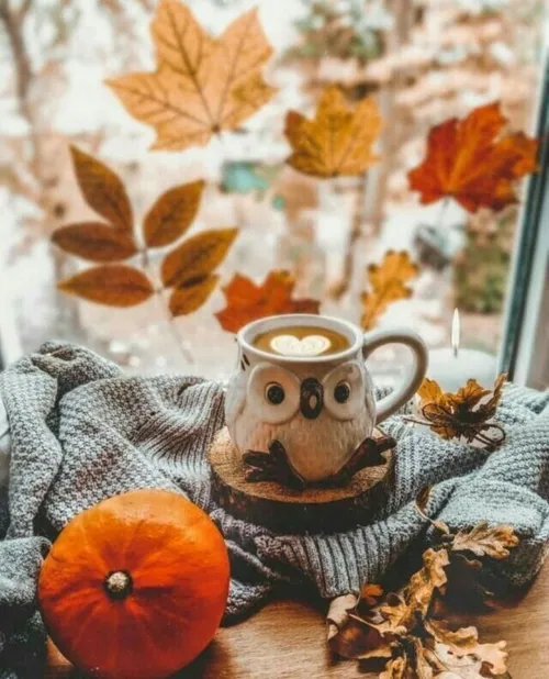 پاییز و دیگر هیچ 🍁🎃🍂