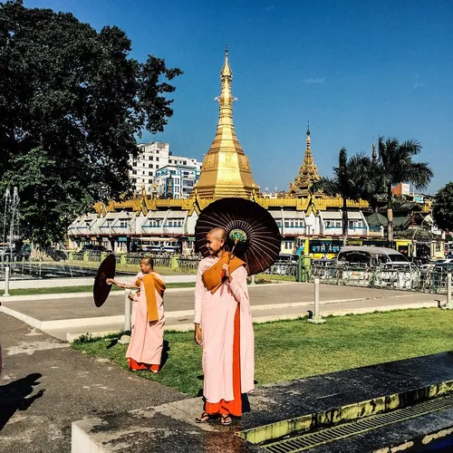 A group of Buddhist nuns pose for each other's photos nex