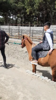 🐎سواردراسب پسرعزیزم❤😘