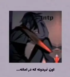 درخواستی شیپ intp x infj