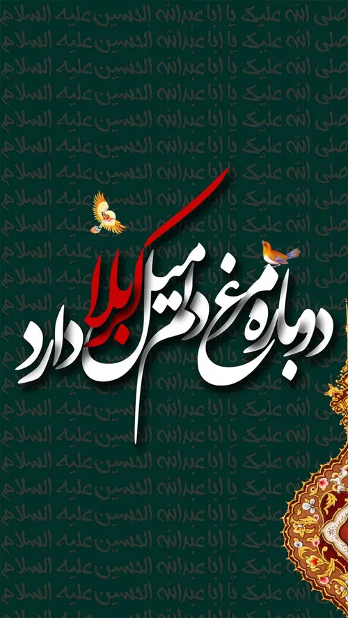 والپیپر موبایل دوباره مرغ دلم میل کربلا دارد امام حسین یا