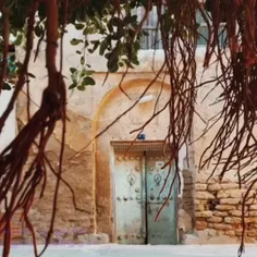 "من و دلبر" اثری از مهرشاد علی‌زاده