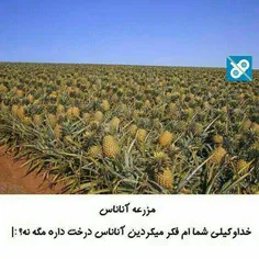 واقعا گمراه بودم